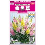 金魚草 ファルファレ ミックス 1袋