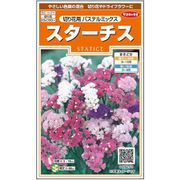 スターチス 切り花用パステルミックス 1袋