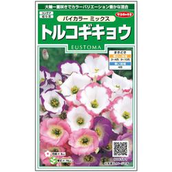 トルコギキョウ バイカラーミックス 1袋
