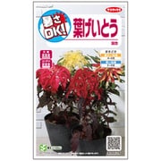 暑さOK 葉げいとう 1袋