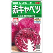 赤キャベツ レッドルーキー 1袋