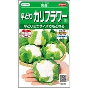 早どりカリフラワー（白） 美星 1袋