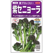 紫セニョーラ茎ブロッコリー 1袋