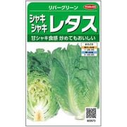 シャキシャキレタス リバーグリーン 1袋