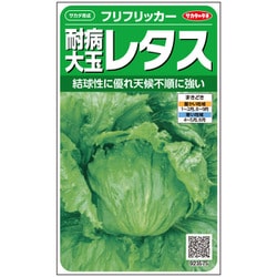 耐病レタス フリフリッカー 1袋