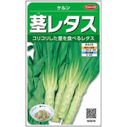 茎レタス ケルン 1袋