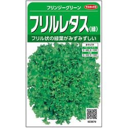 フリルレタス（緑） フリンジーグリーン 1袋