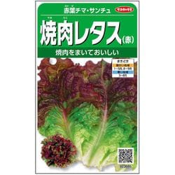 焼肉レタス（赤） 赤葉チマ・サンチュ 1袋