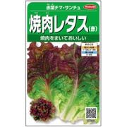 焼肉レタス（赤） 赤葉チマ・サンチュ 1袋