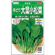 早どり大葉小松菜 みすぎ 1袋