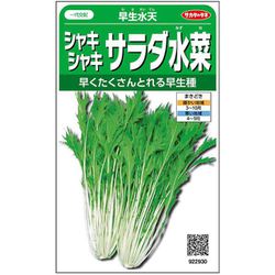 シャキシャキサラダ水菜 早生水天 1袋