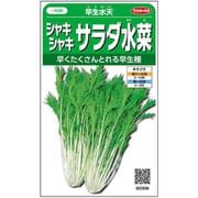 シャキシャキサラダ水菜 早生水天 1袋