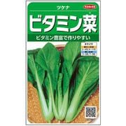 ビタミン菜 1袋