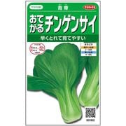 おてがるチンゲンサイ 青帝 1袋