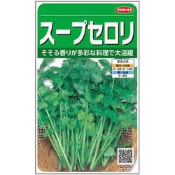 スープセロリ 1袋