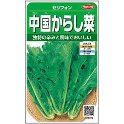 中国からし菜 セリフォン 1袋