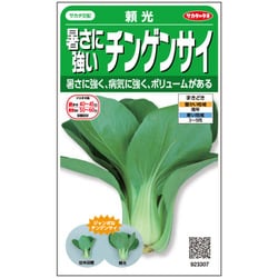 暑さに強いチンゲンサイ頼光 1袋