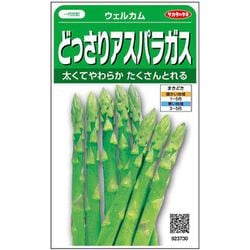 ヨドバシ.com - サカタのタネ どっさりアスパラガス ウェルカム