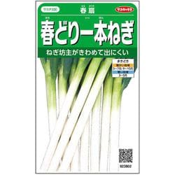 春どり一本ねぎ 春扇 1袋