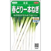 春どり一本ねぎ 春扇 1袋