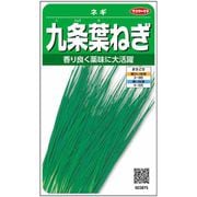 九条葉ねぎ 1袋