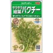 サラサラ細葉パクチー 約500粒