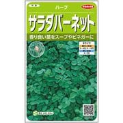 サラダバーネット ハーブ 約60粒