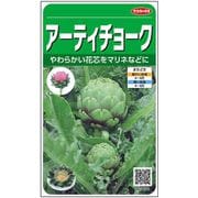 ハーブ アーティーチョーク 1袋