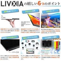 LIVXIA モバイルディスプレイ  15.6インチ 1920x1080　日本製