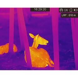 ヨドバシ.com - HIKMICRO HIKMICRO LYNX Pro LE15 サーマル単眼
