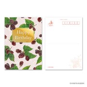 日比谷花壇のポストカード Happy birthday-8 N7763