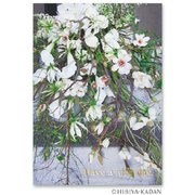 日比谷花壇のポストカード Have a nice day-1 N7764