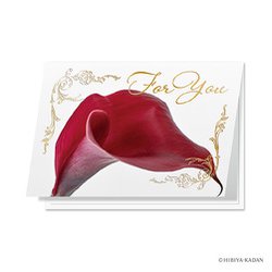 日比谷花壇のグリーティングカード For you カラー N7752