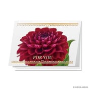 日比谷花壇のグリーティングカード For you ダリア N7753