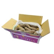 シルクスイーツ 生いも Mサイズ5kg（18～23本） もみ殻付 [産地直送品]