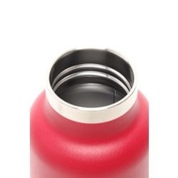 新品✨Hydro FlaskxALEXIA STAM ステンレスボトル　Surf ALEXIA STAM - 新品 Hydro Flask ALEXIA STAM ステンレスボトル