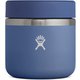 20oz Food Jar 8900580072212 Bilberry [アウトドア フードジャー]