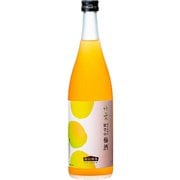 竹葉 能登の梅酒 12度 720ml [梅酒]