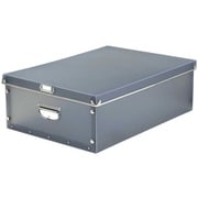 ND-9054 [ふた付き 収納ボックス ClothesL グレー ND-9054 モエティ]