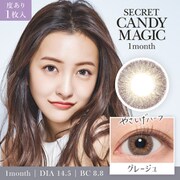 グレージュ マンスリー 1枚入 -8.00 [カラーコンタクトレンズ]