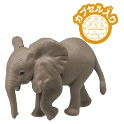 ゾウのあし アキレス・ソルボ C 587 黒｜甲と足首が調整できる牛革ウェッジ