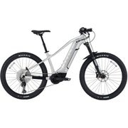 スポーツ電動アシスト e-Bike XEALT M5 外装12段変速 限定 スターライトシルバー BE-GM136S