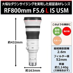 ヨドバシ.com - キヤノン Canon RF800mm F5.6 L IS USM [単焦点レンズ