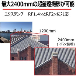 ヨドバシ.com - キヤノン Canon RF1200mm F8 L IS USM [単焦点レンズ