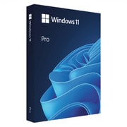 Windows 11 Pro 英語版
