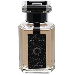 消臭芳香剤 BLANG（ブラング） リキッド CR TALL アバフィッチの香り 160ml L972