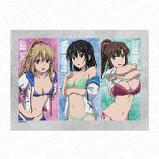 ストライク・ザ・ブラッド FINAL ブランケット お着替え Ver. [キャラクターグッズ]