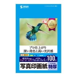 インクジェット写真印画紙 超光沢 特厚 L版 100枚 JP-EP2NLN