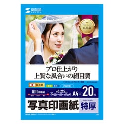インクジェット写真印画紙 絹目 A4サイズ 20枚 JP-EP4NA4N