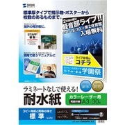 カラーレーザー用 耐水紙 標準 A3サイズ 30枚 LBP-WPF12MDPN-A3
